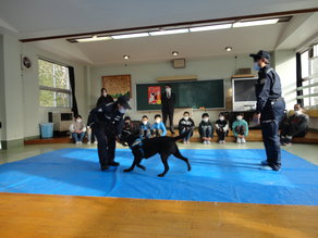 DSC07372.JPG
