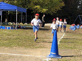 IMG_8347.jpg