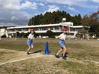 IMG_8485.jpg