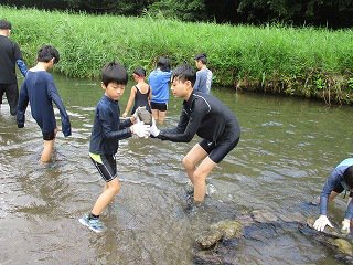 IMG_1839.jpg