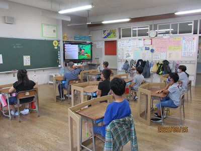 IMG_7805.jpg