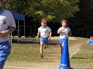 IMG_8361.jpg
