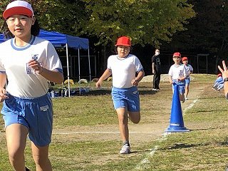 IMG_8393.jpg