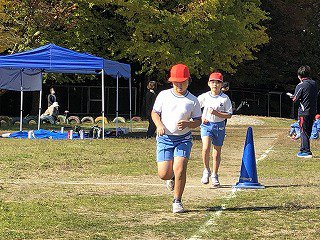 IMG_8412.jpg