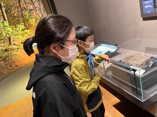 IMG_5743.jpg