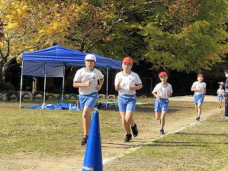 IMG_8473.jpg