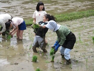 IMG_5115.jpg