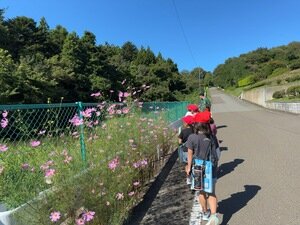 IMG_7377.jpg