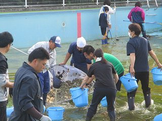 IMG_2080.jpg