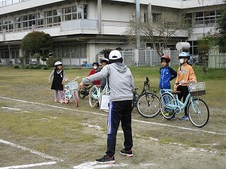 IMG_4595.jpg