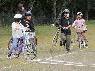 IMG_4637.jpg