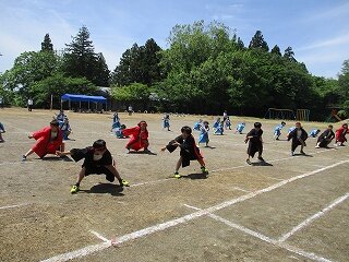 IMG_4979.jpg