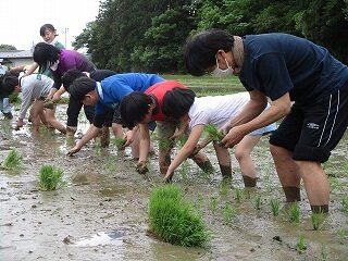 IMG_5092.jpg
