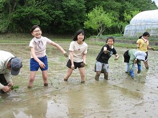 IMG_5096.jpg