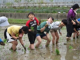 IMG_5098.jpg