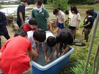 IMG_5123.jpg