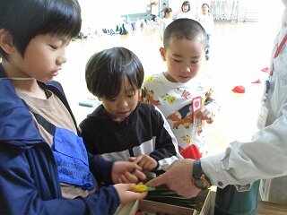 IMG_5246.jpg