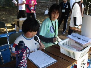 IMG_5294.jpg