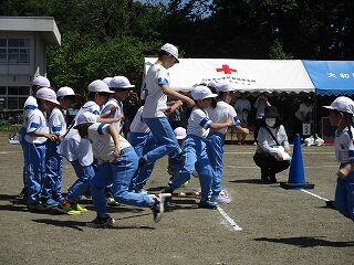 IMG_5315.jpg