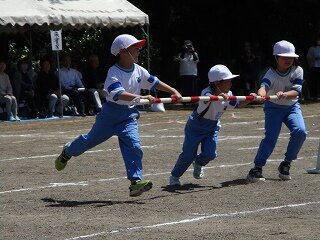 IMG_5332.jpg
