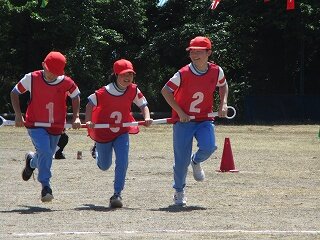 IMG_5336.jpg