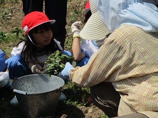 IMG_5372.jpg