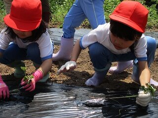 IMG_5380.jpg