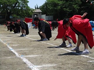 IMG_5403.jpg