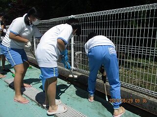 IMG_5511.jpg