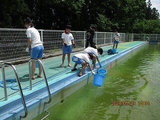 IMG_5517.jpg
