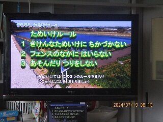 IMG_6240.jpg