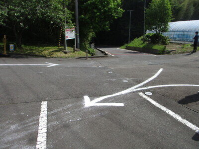 IMG_7818.jpg