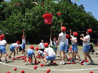 IMG_5370.jpg