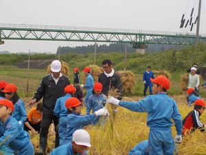 DSCN3271.JPG