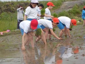 DSCN4141.JPG