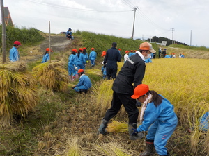 DSCN3878.JPG