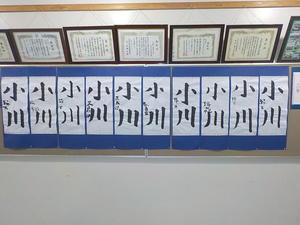 DSCN4479.JPG