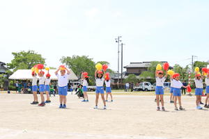 IMG_4592.JPG