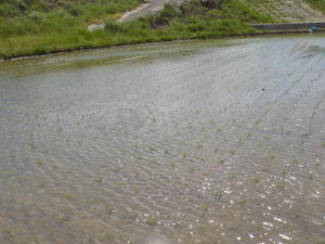 DSCN6571.JPG