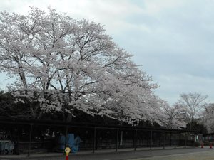 DSCN8703.JPG