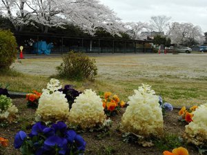 DSCN8704.JPG