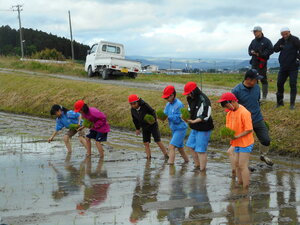 DSCN3300.JPG