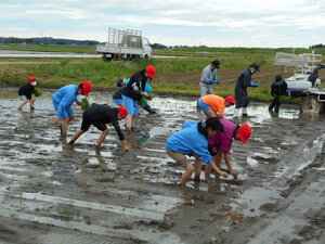 DSCN3312.JPG