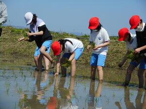 DSCN6348.JPG