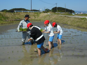 DSCN6355.JPG