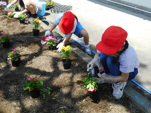 DSCN6501.JPG