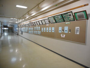 DSCN6956.JPG