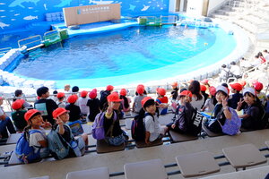 DSCF8020.JPG
