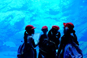 DSCF8096.JPG