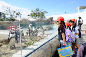 DSCF8067.JPG